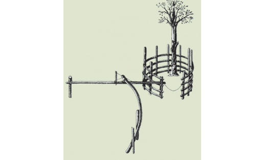 Айыуға тоҙаҡ