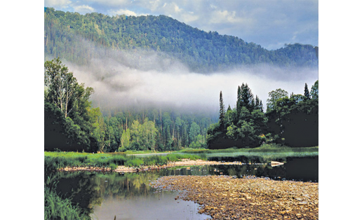 Река Зилим. Гафурийский район.