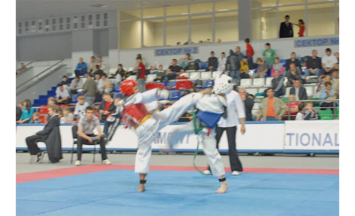 Тхэквондо б‑са  “Йәш динамосы” Бөтә Рәсәй турниры. Өфө, 2010