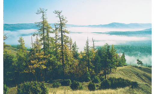 Заповедник “Башкирский”. Хребет Крака