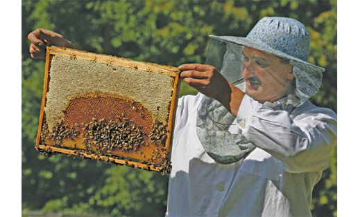 Башкирский мёд