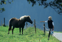Перспективы развития сельского туризма обсудят на Координационном совете по туризму